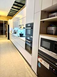 Kerong Walk (D27), Terrace #632473741